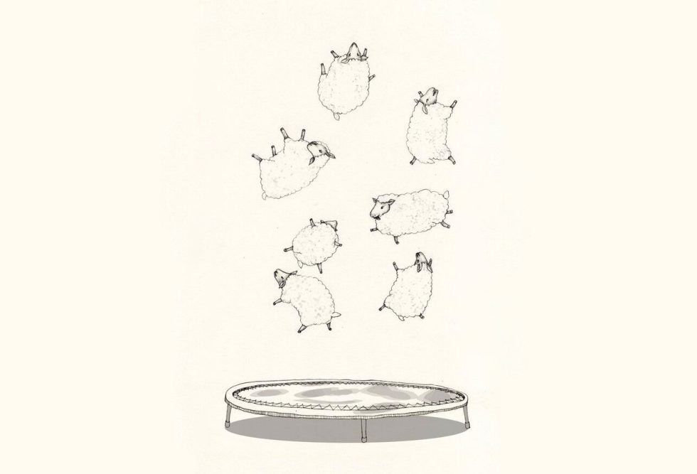 Sleeping Like A Champ Well Empowered