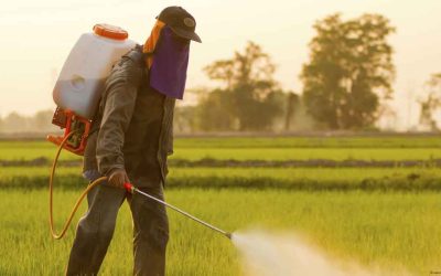Understanding Glyphosate
